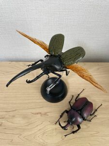 ヘラクレス・ヘラクレス（黄褐色）　ヤマトカブトムシ（赤茶色）　いきもの大図鑑かぶどむし01 バンダイ　生き物　ガチャ