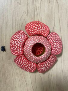 ラフレシア　巨大花と食虫植物　あそべる生物フィギュアシリーズ　タカラトミーアーツ　ガチャ