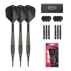 [ well-selling goods commodity ]HOSHINO BRASS MITSUMASA 17G series 2BA PRO brass darts set ( exclusive use case attaching 