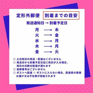 資生堂 イハダ 薬用フェイスプロテクトパウダー 9g IHADA フェイスパウダー ナチュラルカバー ニキビ予防 送料無料の画像3