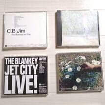 BLANKEY JET CITY A⑦ CD 15枚セット THE SIX SKUNK 青い鳥 Ｍetal Moon 悪いひとたち ロメオの心臓 他 グッズ 浅井健一_画像7