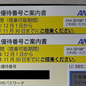 ANA株主優待券2枚セット 有効期間2024年11月30日迄 送料無料の画像1
