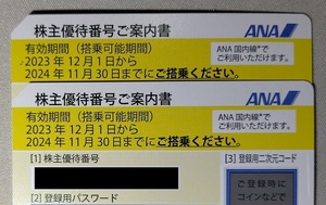 ANA株主優待券2枚セット　有効期間2024年11月30日迄　送料無料　②