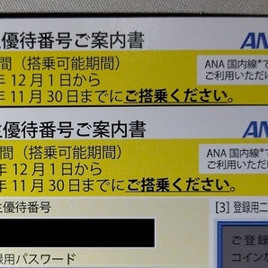 ANA株主優待券2枚セット 有効期間2024年11月30日迄 送料無料 ②の画像1