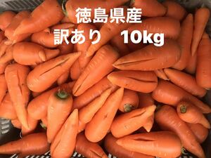 春人参　訳あり10kg 徳島県産