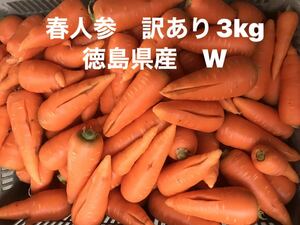 春人参　訳あり 3kg W 徳島県産