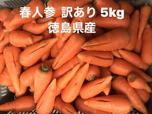 春人参　訳あり 5kg W 徳島県産