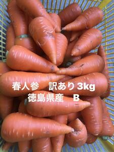 春人参　訳あり3kg B 徳島県産　春にんじん