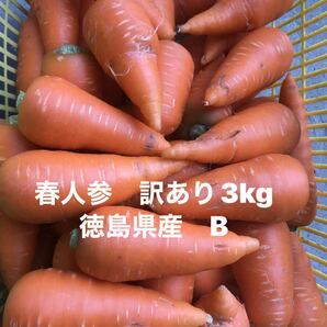 春人参　訳あり3kg B 徳島県産　春にんじん