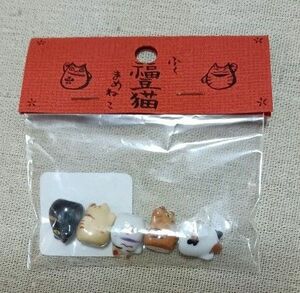 福豆猫　