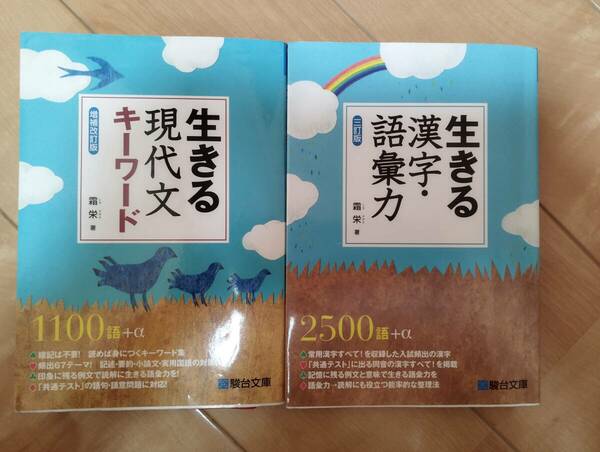 大学受験　生きる漢字語彙力　生きる現代文キーワード　駿台文庫 ２冊セット