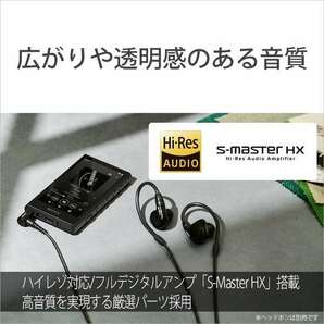 1年保証【新品】SONY NW-A306 ブラック [ポータブルオーディオプレーヤー Walkman（ウォークマン）32GB Android 12搭載 ハイレゾ音源対応]の画像7