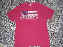 UNITED STATES OF AMERICA TシャツサイズM　マッコイフェローズウェアハウスエントリーSGチャンピオングッドウェア_画像1