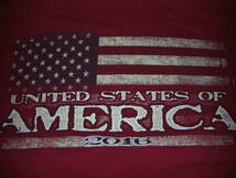 UNITED STATES OF AMERICA TシャツサイズM　マッコイフェローズウェアハウスエントリーSGチャンピオングッドウェア_画像3
