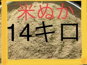  rice .. high capacity 14 kilo 