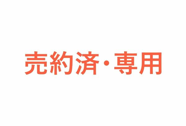  【売約済・専用】 24042008P 多肉植物 エケベリア 10点 寄せ植えセット カット苗 詰め合わせ 【名前不明セット】