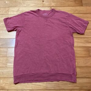 コーエン Tシャツ LL