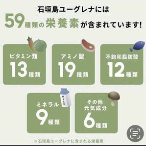 即日発送 からだにユーグレナ 青汁 3箱 60本 スティック 60包 ユーグレナ 乳酸菌 グリーンパウダー ダイエット 1箱当たり乳酸菌2兆個 粉末の画像5