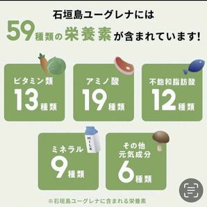 即日発送 からだにユーグレナ 青汁 3箱 60本 スティック 60包 ユーグレナ 乳酸菌 グリーンパウダー ダイエット 1箱当たり乳酸菌2兆個の画像5