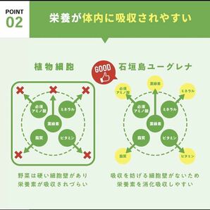 即日発送 からだにユーグレナ 青汁 2箱 40本 スティック 40包 ユーグレナ 乳酸菌 グリーンパウダー ダイエット ケール パウダー 健康食品の画像9