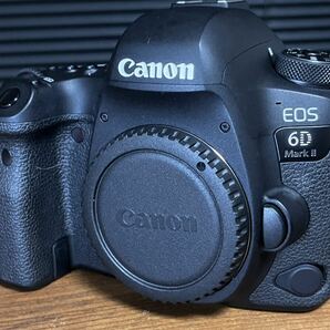 Canon EOS6DmarkⅡボディ 予備バッテリー＋SDカード 美品低ショット数 キヤノン安心メンテ済の画像2