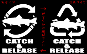 CATCH＆RELEASE トラウト　ステッカー　 ニジマス サツキ 鱒 サクラマス chiaki