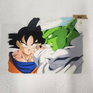  セル画 ドラゴンボール 210x297mm の画像1