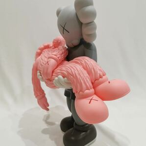 KAWS GONE GREY PINKの画像6