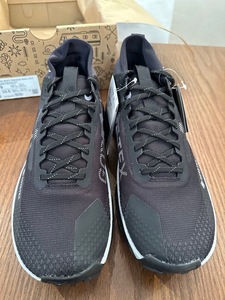  new goods Nike (NIKE)( men's ) running shoes rear kto Pegasus Trail 4 GTX black DJ7926-001