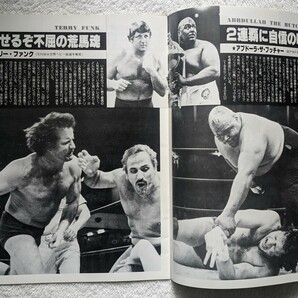 全日本プロレスパンフレット2冊。1980年「第8回チャンピオンカーニバル」1981年「スーパーアイドルシリーズ」の画像5