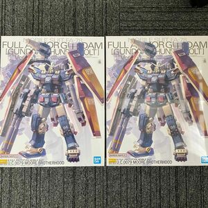 MG 1/100 フルアーマー・ガンダム Ver.Ka（GUNDAM THUNDERBOLT版）2個セット