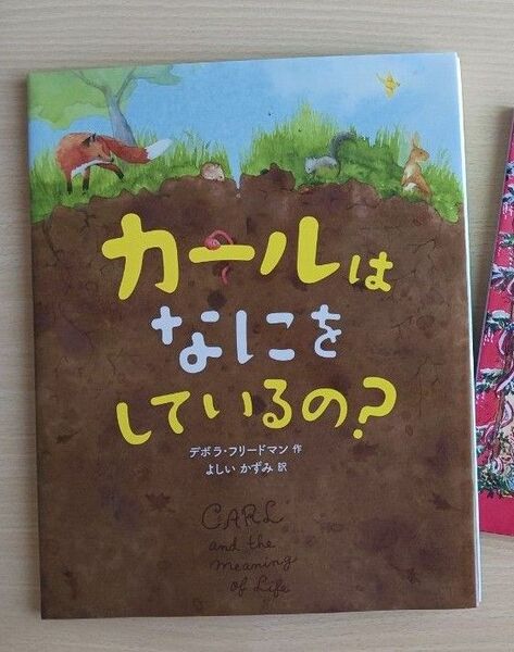 翻訳えほん◆カールはなにをしているの？◆読み聞かせ えほん 美品