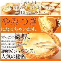 訳あり 濃厚チーズタルトどっさり1kg/スイーツ_画像2