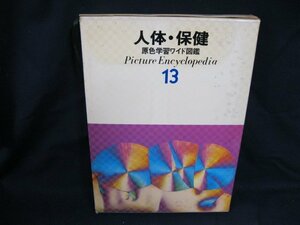 人体・保健　原色学習ワイド図鑑13　学研　日焼け強/シミ有/UDZK