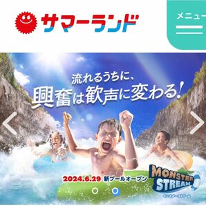 4枚セット除外日無しサマーランド 1デーフリーパス夏期使用可能 4枚セット有効期限 2024年3月29日～10月14日夏期使用可能