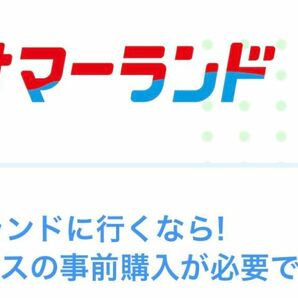 3枚セットサマーランド 除外日無し1デーパス 夏期使用可能 3枚セット有効期限 2024年3月29日～10月14日夏期使用可能。