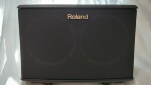  Roland ACOUSTIC CHORUS AC-40 アコースティックギター用アンプ