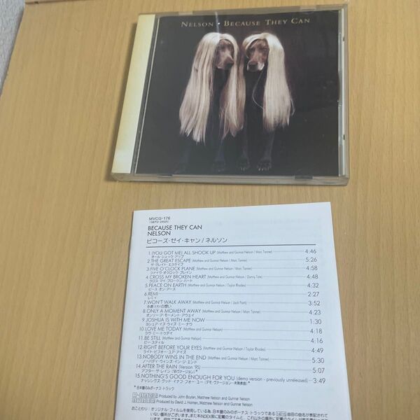 NELSON BECAUSE THEY CAN 国内盤 ネルソン 送料込み