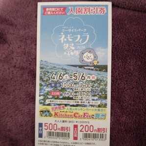 大阪まいしまシーサイドパーク ネモフィラ祭２０２４ 入園割引券１枚の画像1