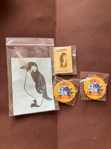 水族館で貰ったもののまとめ売り　コウテイ(エンペラー)ペンギンの羽毛　缶バッチ　ピンバッジ