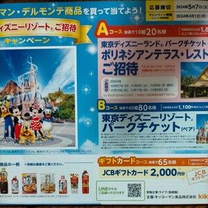 ■□Aコース ライフ首都圏 キッコーマン デルモンテ 東京ディズニーランドパークチケット ポリネシアン・テラス 懸賞．応募 4月30日□■