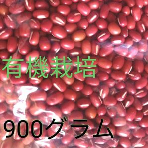 小豆　乾燥小豆　長野県産小豆　有機栽培　2023年産　900g入り×2袋