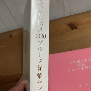 【美品】2020年 令和2年 桜の通り抜け2020 プルーフ貨幣セット春日井 造幣局 の画像5