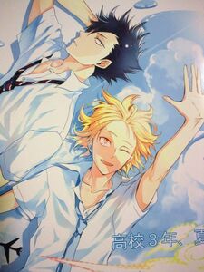 ハイキュー!! 同人誌 24:/にんぢん 黒研 高校3年、夏