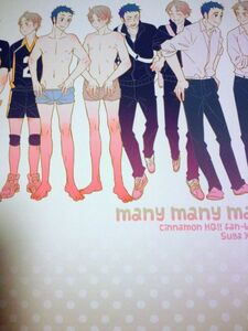 ハイキュー!! 同人誌 シナモン/まちょ 菅澤 many many many