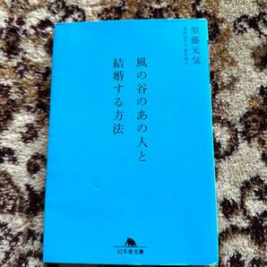 風の谷のあの人と結婚する方法