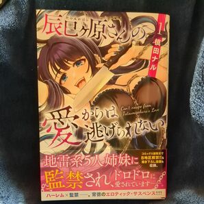 辰巳ヶ原さんの愛からは逃げられない　１ （ドラゴンコミックスエイジ） 槙田ナル／〔著〕