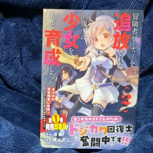 冒険者パーティーを追放された回復士の　２ （ＲＥＸコミックス） 清露