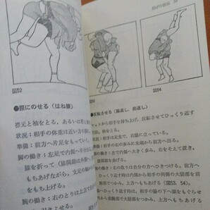 サンボ入門  サンボ 柔道 武術 古武道 気功 拳法 合気道 柔術 空手 格闘技 プロレス 総合の画像6