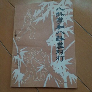 八卦掌和八卦掌対打　八卦掌　拳法　武術　古武道　気功　合気道　中国拳法　空手　少林寺